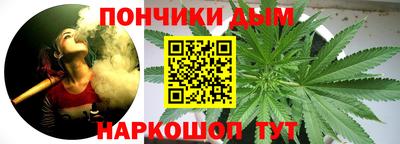 прущие грибы Будённовск