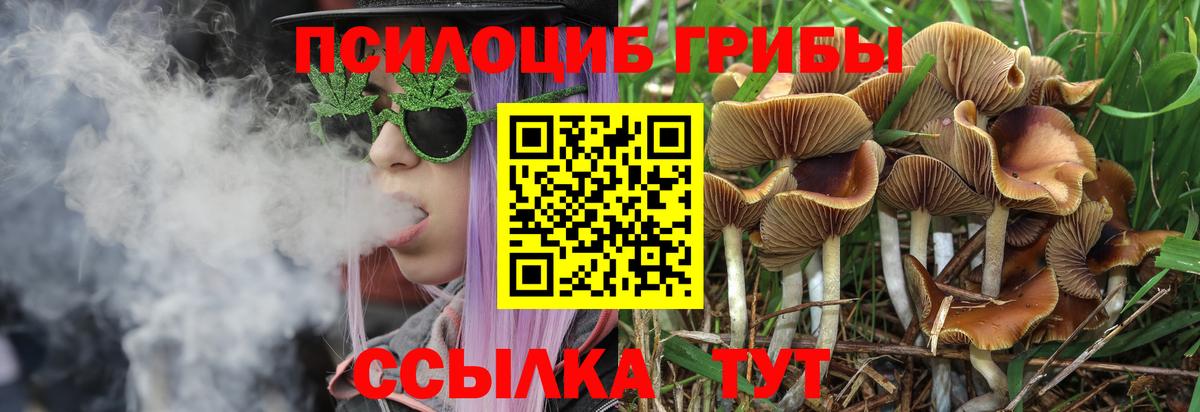 Электросталь  Галлюциногенные грибы мухоморы  Вход с VPN  Псилоцибиновые грибы Cubensis 